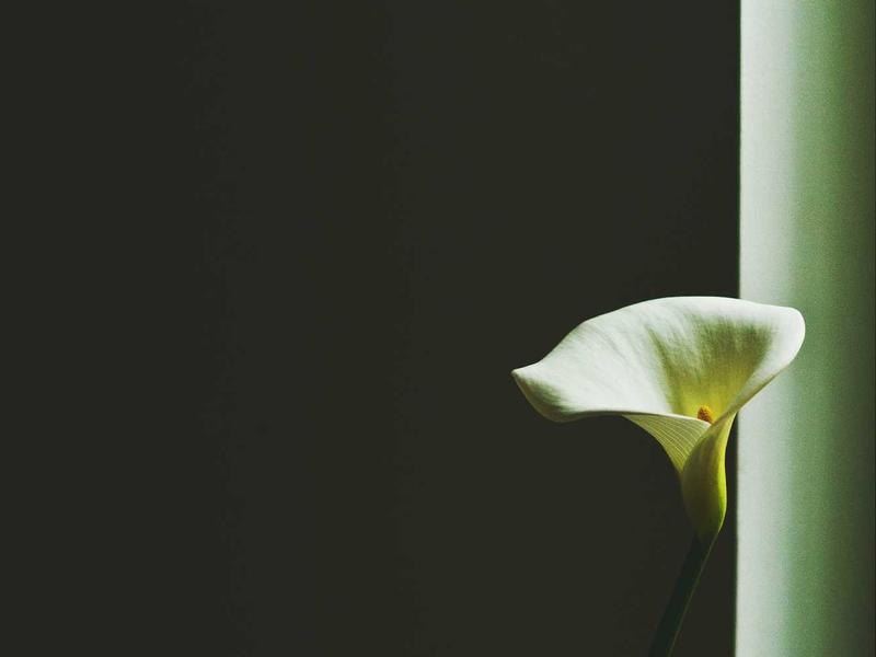 Développeur web Full Stack — Freelance